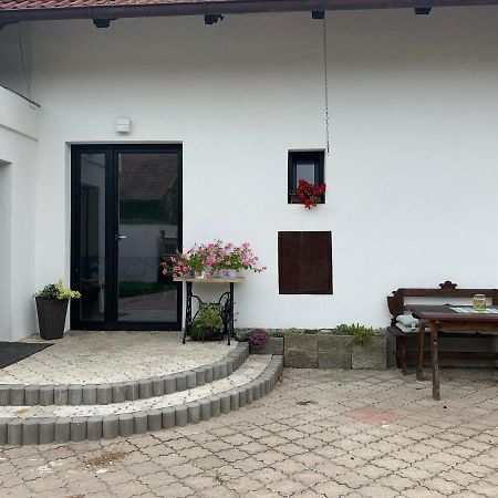 Tolarova Apartman 帕尔杜比采 外观 照片