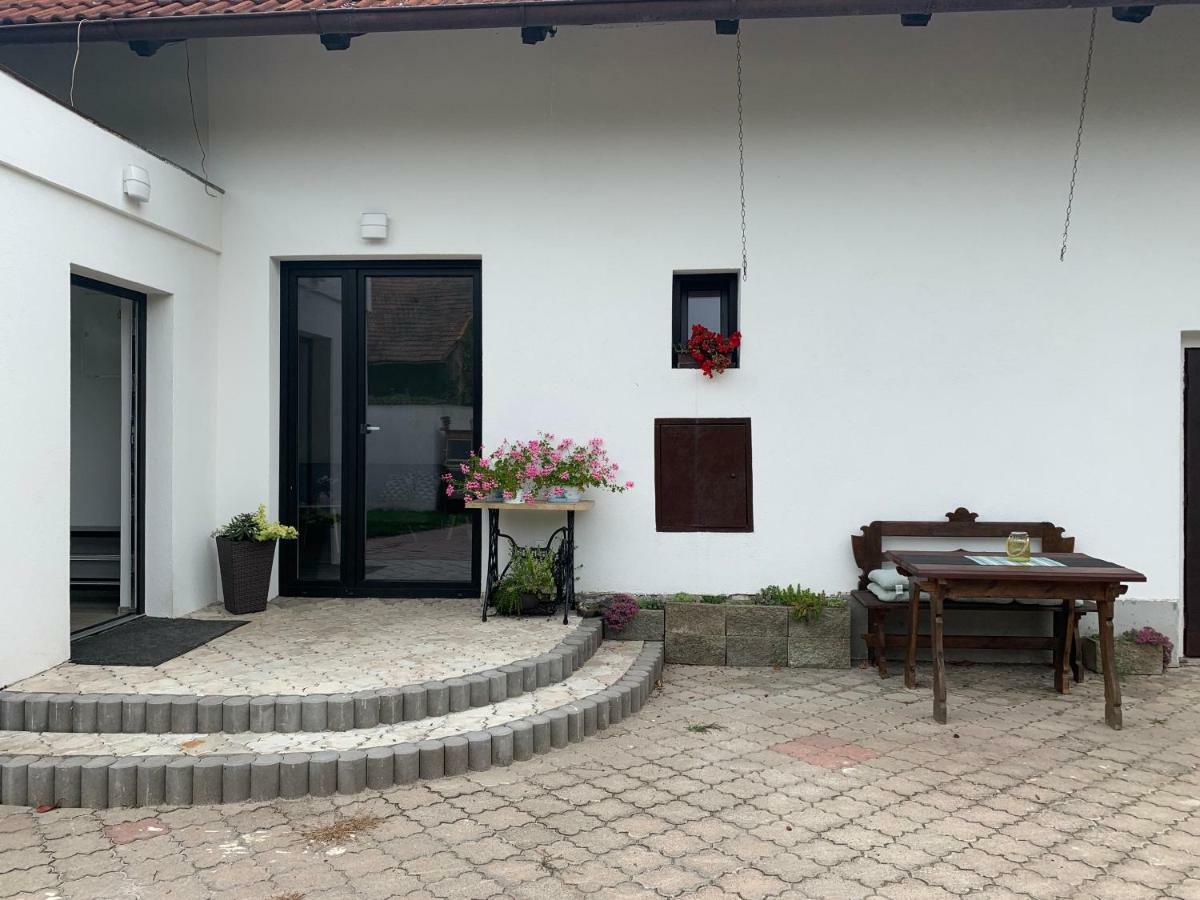 Tolarova Apartman 帕尔杜比采 外观 照片