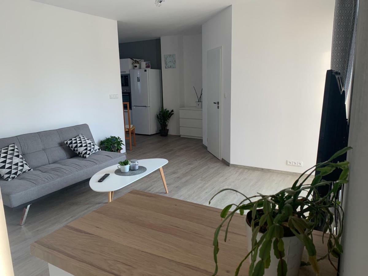 Tolarova Apartman 帕尔杜比采 外观 照片